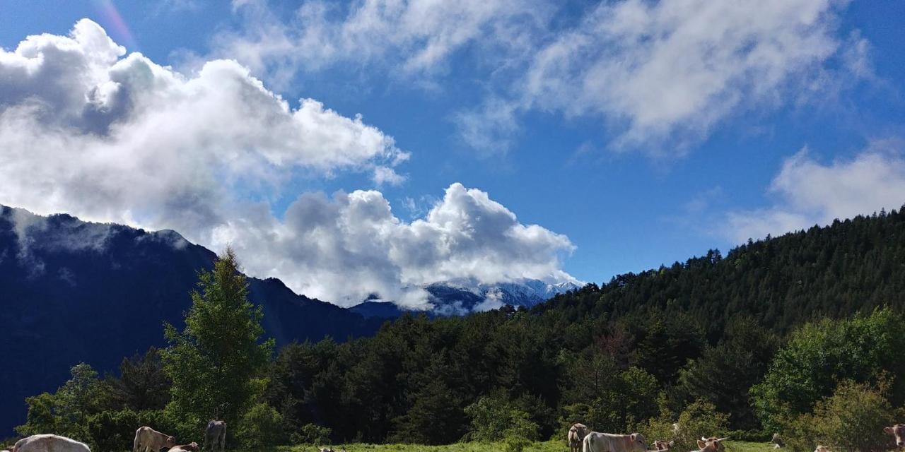 Bordes Pirineu, Costuix Hotel Areu Eksteriør billede